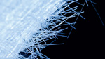 Gewebe und combi products - Glasweberei Jens Wendland e.K.